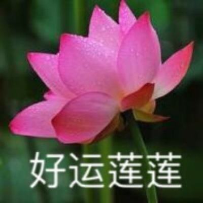 通讯｜中国“幸福草”助力卢旺达青年实现创业梦